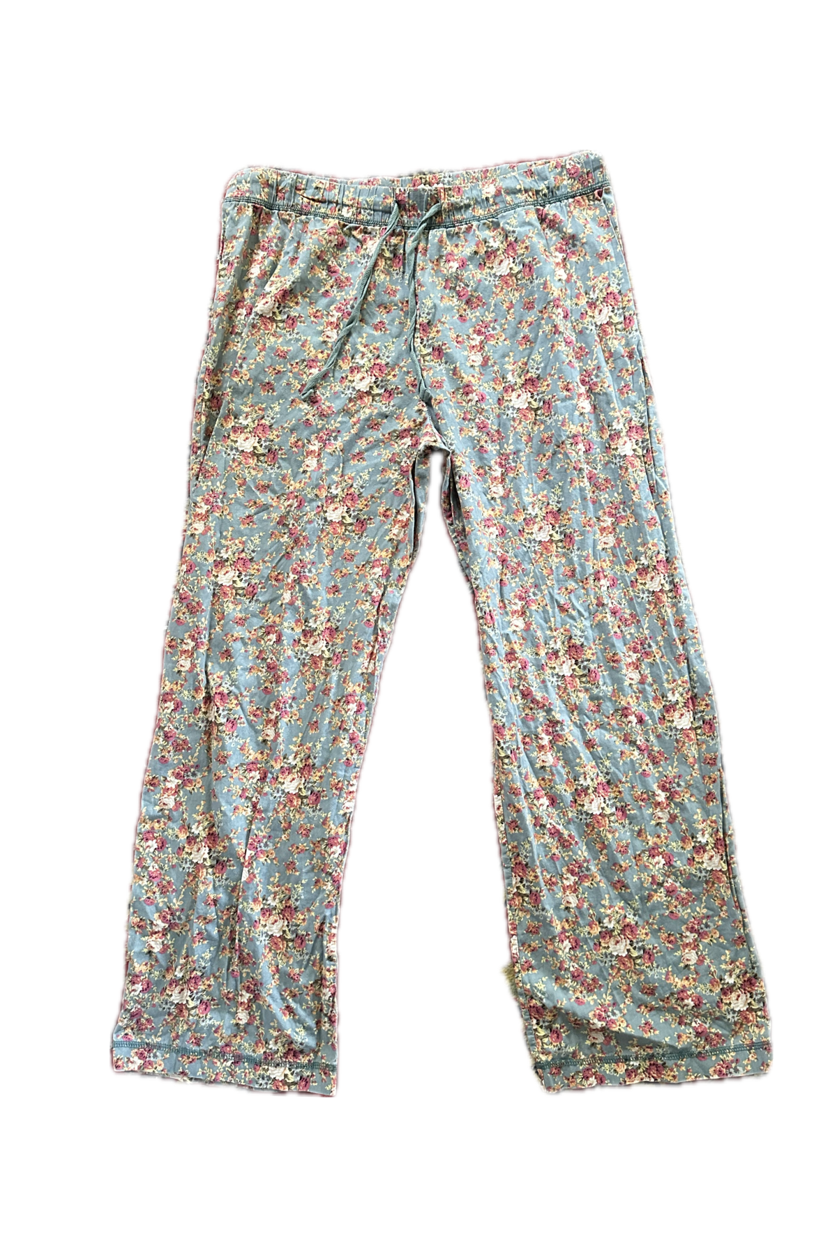 Blue floral Pants